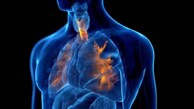 Imagem com ilustração do tema Asma